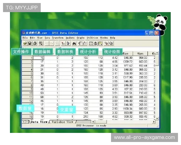 国际羽联更新技术统计系统，数据分析更精细