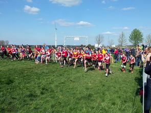 爱游戏体育app-中国篮球青少年篮球发展与体育政策关系研究，中国青少年篮球发展现状